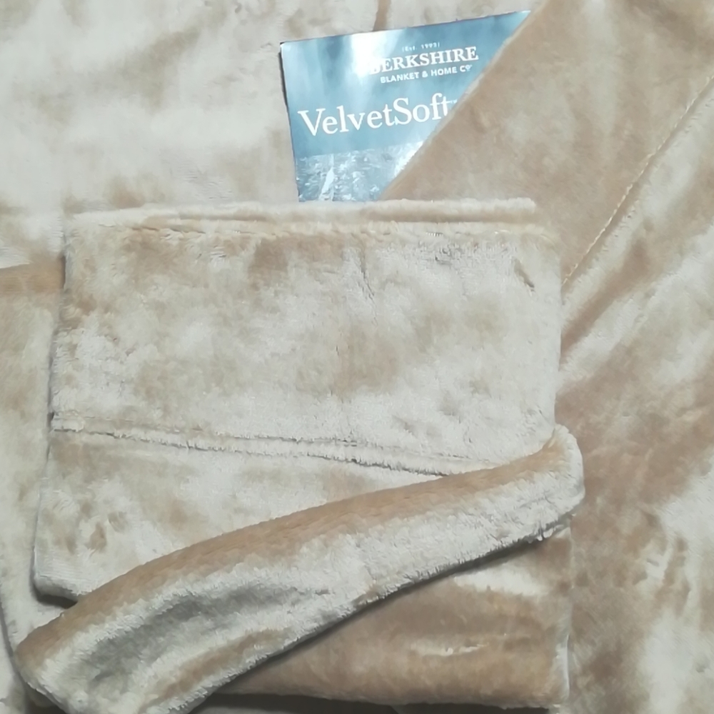 BERKSHIRE VelvetSoft Pillowcases set of 2 in Taupe